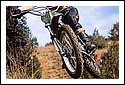 Bultaco-Pursang-MX-Motocross-Poster.jpg