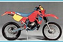 TM-1989-125cc-Enduro-Cat.jpg