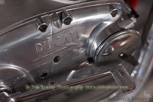 Ducati-175-TS-001.jpg