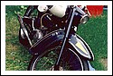 Gazelle_Isabella_front.jpg