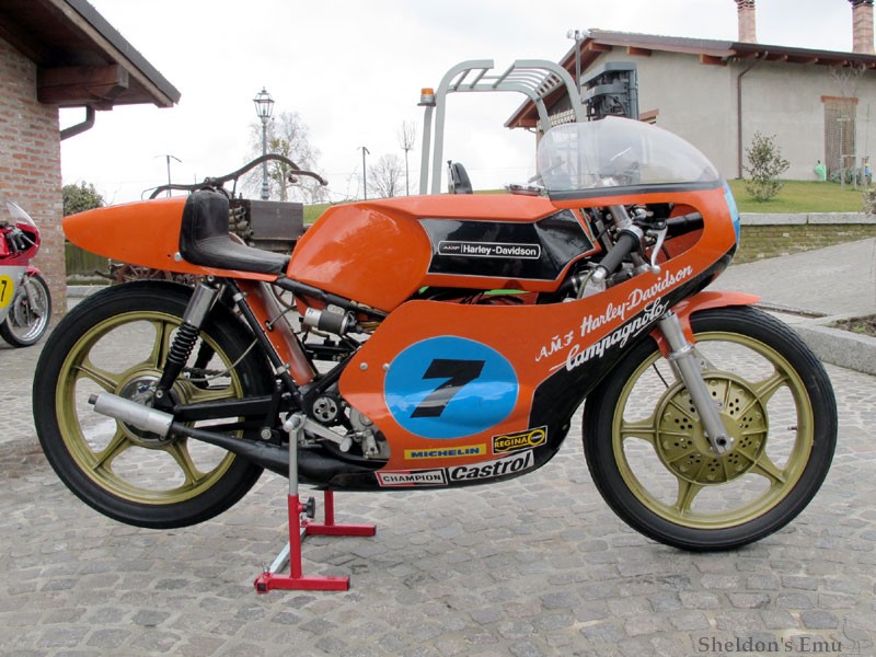 Aermacchi-1974-Harley-Davidson-RR350-HnH-1.jpg