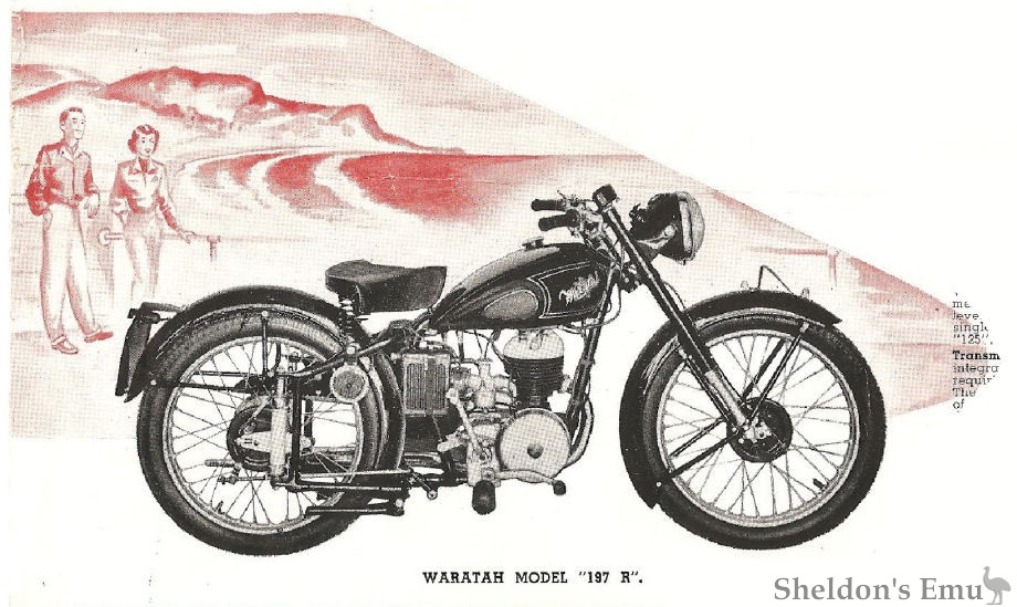 Waratah-1951-Cat-02.jpg