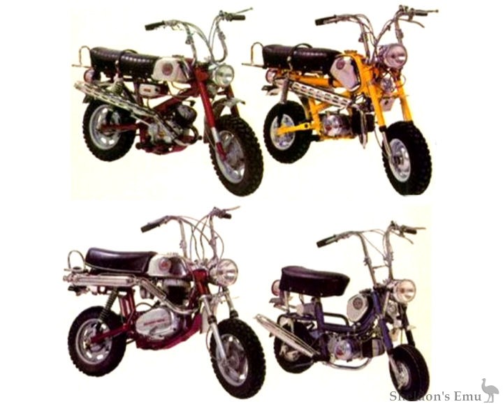 Benelli-1972-Models-3a.jpg
