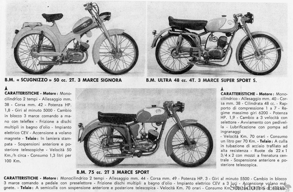 BM-1958c-Cat.jpg