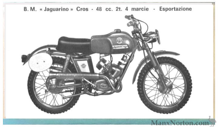 BM-1960-Jaguarino-Cross-Cat.jpg