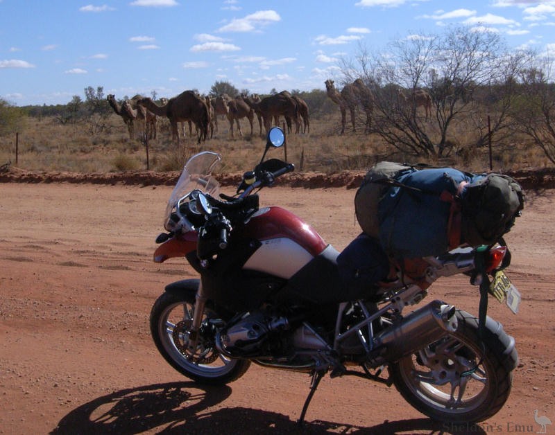 BMW-R1200GS-2007-with-camels.jpg