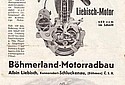 Bohmerland-1935-OHV-600-Engine-Cat.jpg