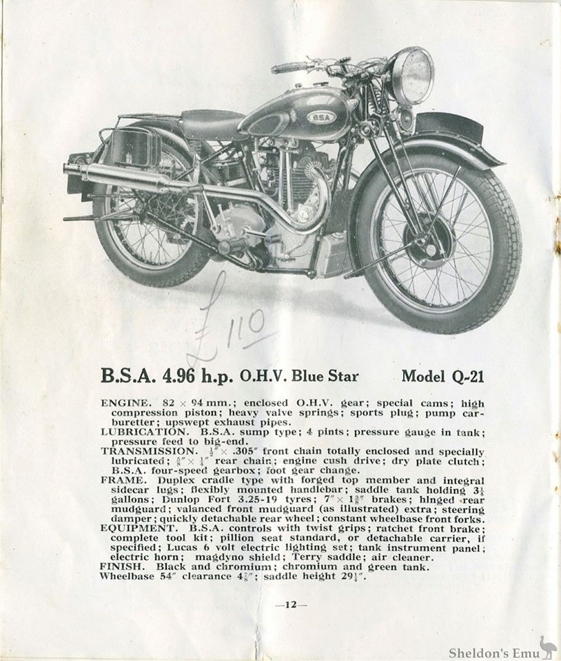 BSA-1936-Q21-Cat-HBu.jpg