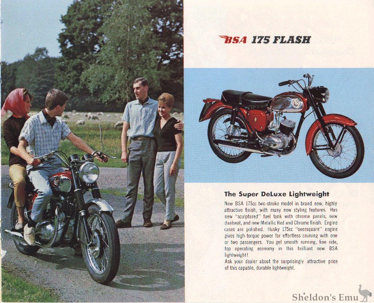 BSA-1966-Brochure-USA-09.jpg