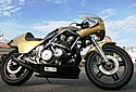 Martin-Honda-CB900F-Cedric-Jaondet.jpg
