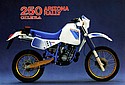 Gilera-1988c-Arizona-250cc-Rally.jpg