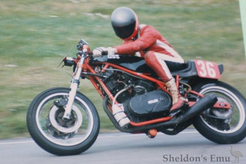 Hedlund-V-Twin-Roadracer-1987.jpg