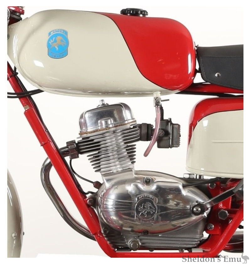 De-Ca-1955-48-Sport-Hessinks-03.jpg