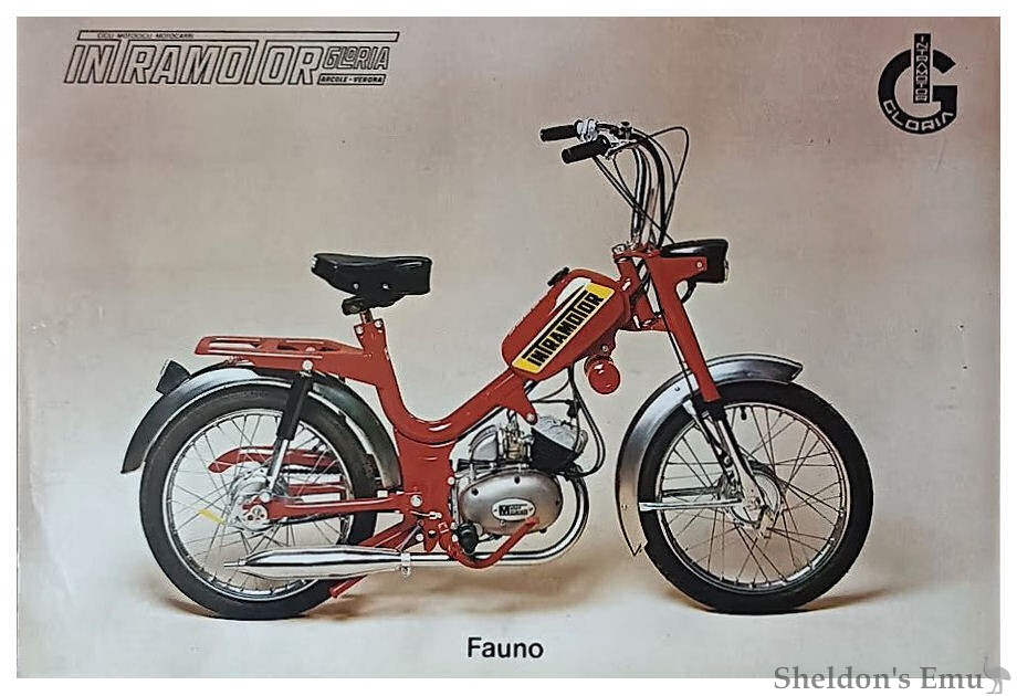 Intramotor-Fauno.jpg