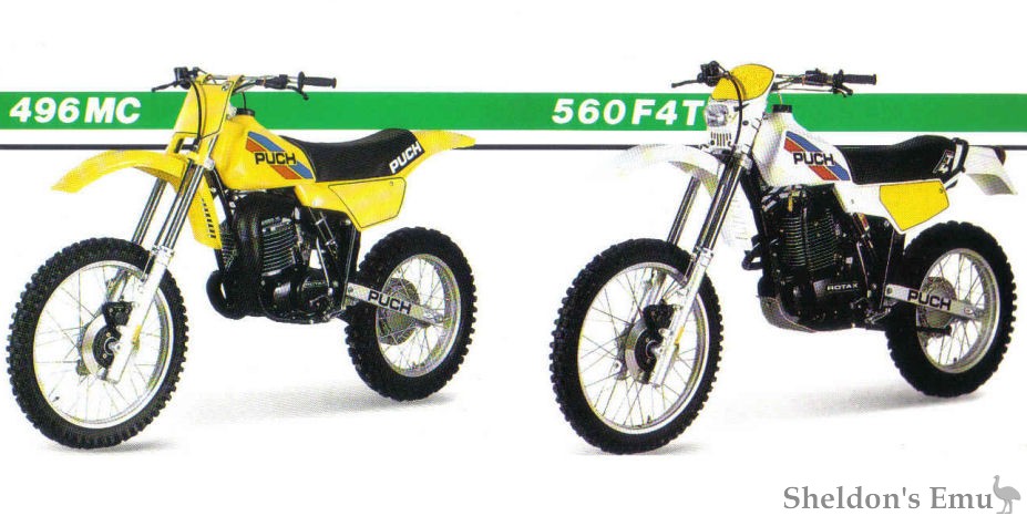 Frigerio-1984-496MC-Cat.jpg