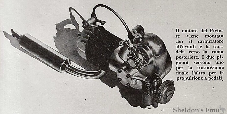 Zanzi-Piviere-48cc-Engine.jpg