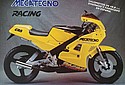 Mecatecno-1991c-CR8-Racing-50cc-Cat.jpg