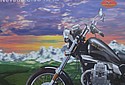 Moto-Guzzi-2001-Nevada-Club-Cat.jpg