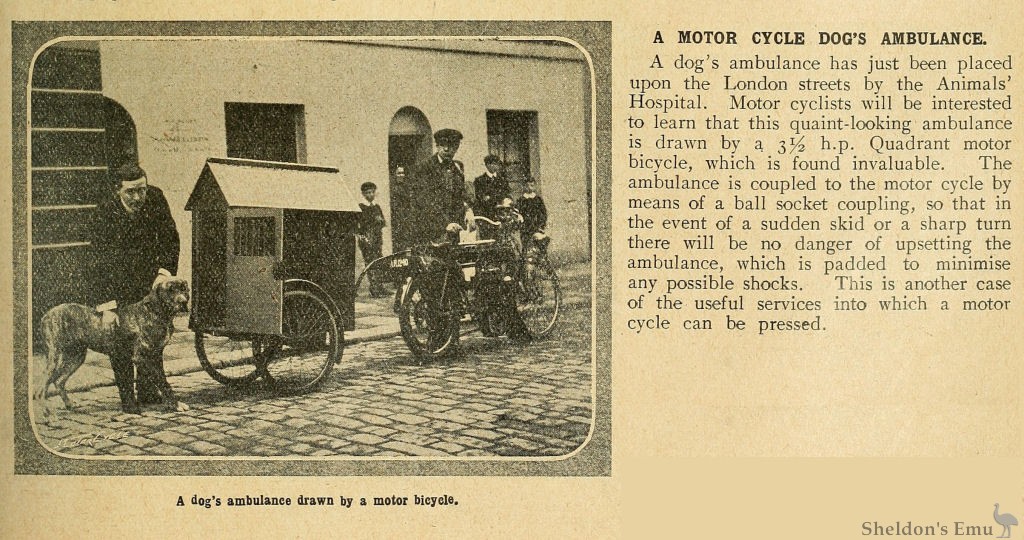 Quadrant-1908-Dog-Ambulance.jpg
