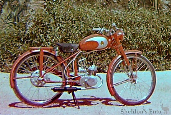 Setter-1960-49cc.jpg