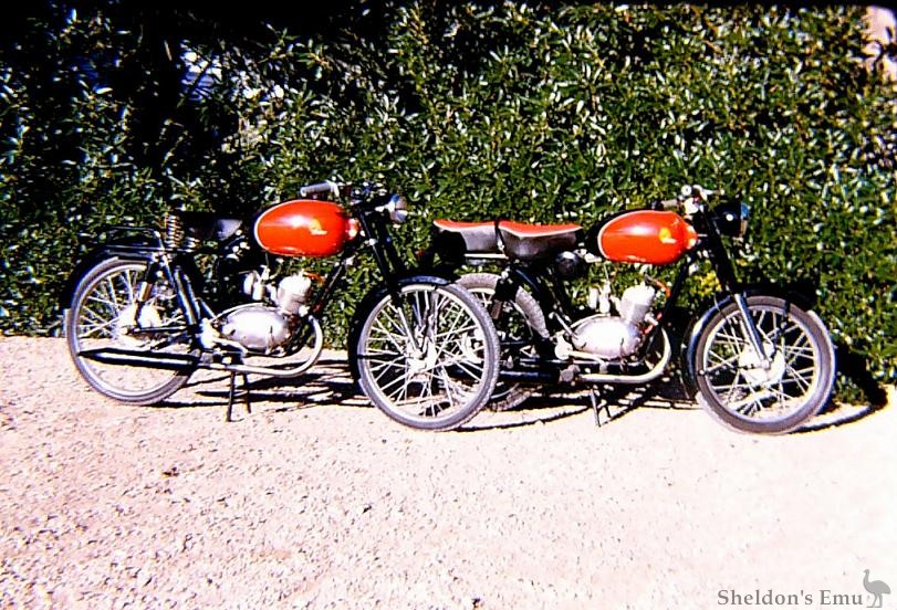 Setter-1961-74cc-F.jpg