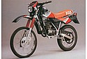 Derbi-1986-FDS-Cat.jpg