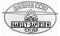 aermacchi-harley-davidson-logo-1.jpg