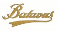 batavus-script.jpg
