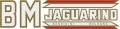bm-jaguarino-logo.jpg