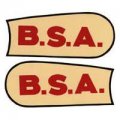 bsa-logo-118.jpg