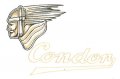 condor-head-logo.jpg