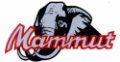 mammut-logo-125.jpg