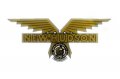 new-hudson-wings-1934-decal.jpg