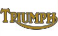 triumph-logo-gold-600.jpg