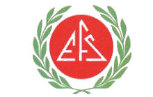 EFS Motoesa Logo