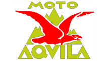 Aquila Torino Logo