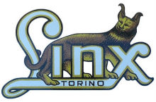 linx-torino logo