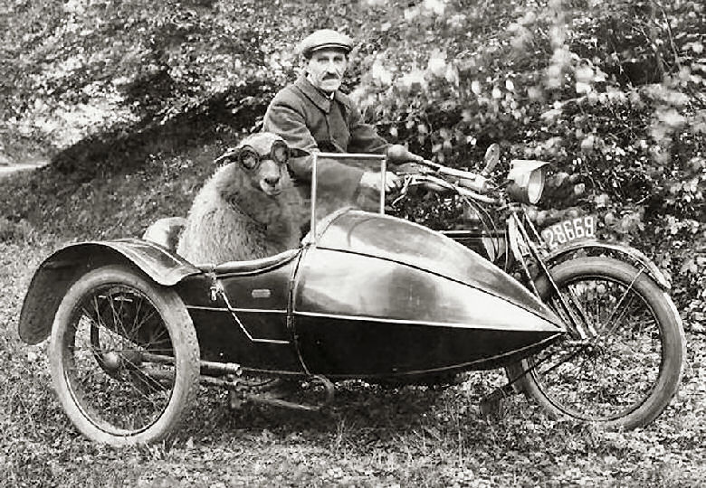NZ Sidecar